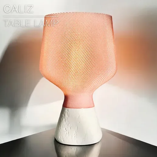 Caliz Compacte – Lampe de table tressée — vue 3
